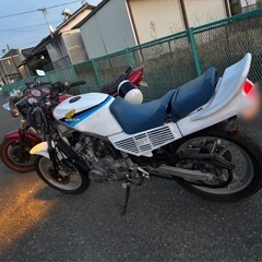 gf250 cbr仕様 実動車の画像