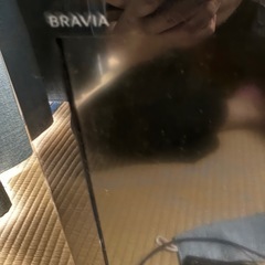 SONY BRAVIA 液晶テレビ22インチ