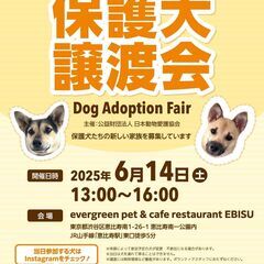 保護いぬ譲渡会