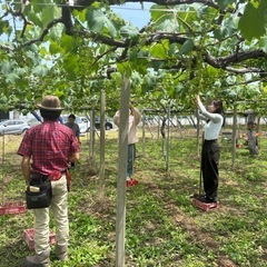傘掛け、袋入れ 募集
