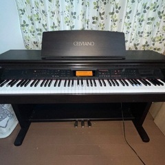 ⭐️差し上げます！⭐️CASIO CELVIANO AL-100R