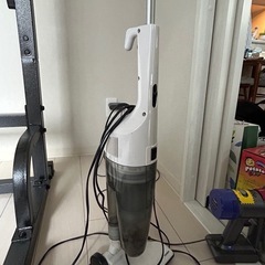 掃除