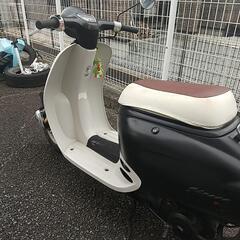 ホンダジョルノの画像