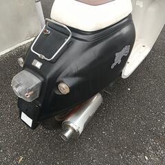 ホンダジョルノの画像
