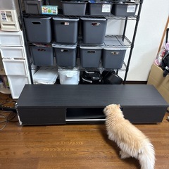 テレビボード テレビ台