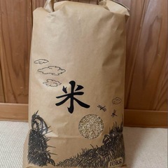 令和5年産　徳島県コシヒカリ　10kg