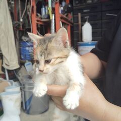 写真変えました！！
