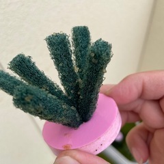 竜章鳳姿の有精卵