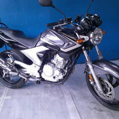YAMAHA YBR250-Fi グレー エンジン始動動画 自賠...