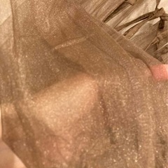 シアートップスの画像