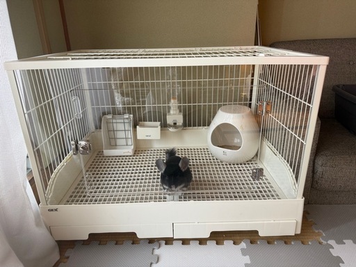 うさぎ、チンチラ　、ゲージ