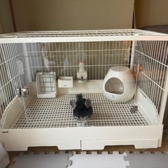 うさぎ、チンチラ　、ゲージ