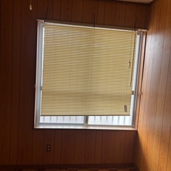 ブラインド　ハーフ シングル