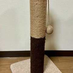 猫の爪とぎ