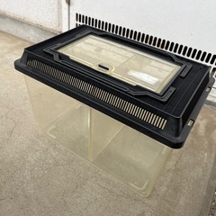 虫かご　Lサイズ