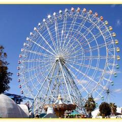 🎡遊び友達１名募集🎡
