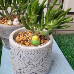 コンクリ鉢　３号サイズの画像