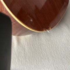 Sepia Crue セピアクルー アコースティックギター ドレッドノートタイプ WG-10/N の画像