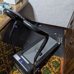 ALINCOルームランナーです。