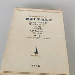 0608-255 世界文学全集　集英社