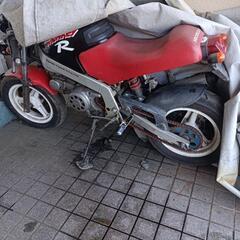 モンキーr
