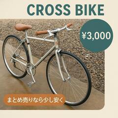 【現状渡し】クラシック クロスバイク風 自転車（Bianchi風）