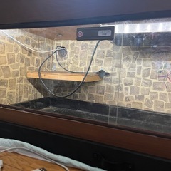 （取引中） 爬虫類ケージの画像