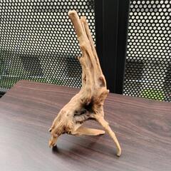 美品 流木  オブジェ