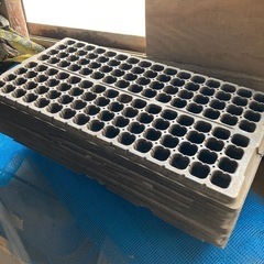 種蒔きトレイ20枚 