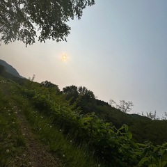 お友達になりませんか！