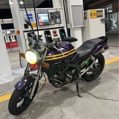 yamaha zeal250