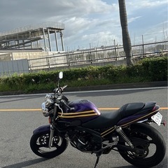 yamaha zeal250の画像