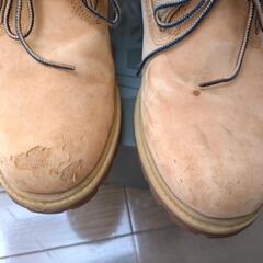 ティンバーランドの画像