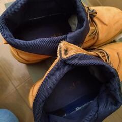 ティンバーランドの画像