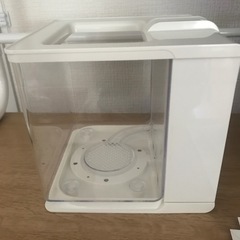GEX 楽アクア　ホワイト　の画像