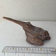 流木