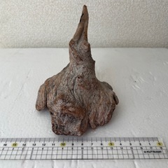 流木の画像