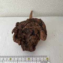 流木の画像