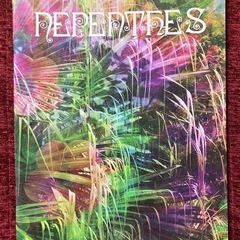 NEPENTHESが発行するバイリンガル雑誌 『NEPENTHE...
