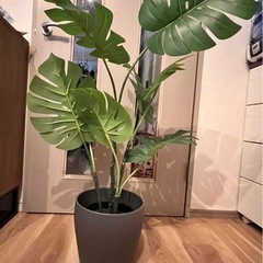 【値下げ中】人工観葉植物【IKEA】