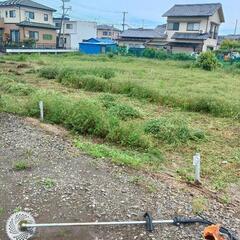 草刈り。(雑作業)