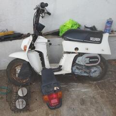 ホンダスカッシュ6vの画像