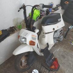 ホンダスカッシュ6v