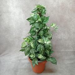 造花 人工観葉植物 ポトス 高さ約70cm 飾り 置物 自然 インテリア 鉢飾りの画像