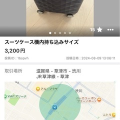 スーツケース(大)、スーツケース(小)、新品バスタオル4枚、新品シングル寝具一式の画像