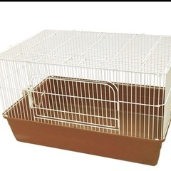 ハリネズミ 飼育セット