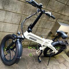 電動アシスト自転車　fryfish