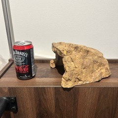 爬虫類 シェルターの画像
