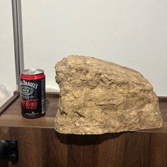 爬虫類 シェルターの画像