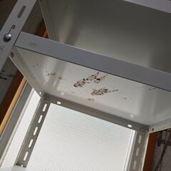 【取引決定済】スチール?ラック 46x46x90.5cm 金属取りにもの画像